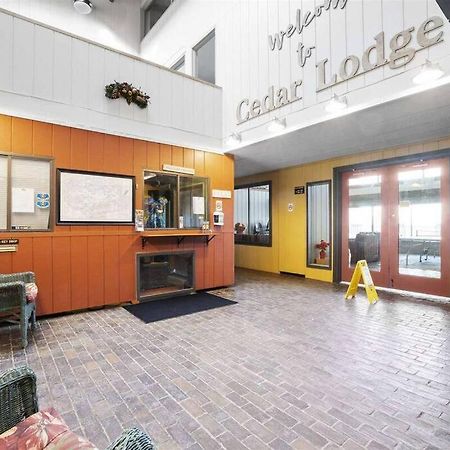 Cute Cedar Lodge Studio With Balcony & Lake Views! Lakonia Dış mekan fotoğraf